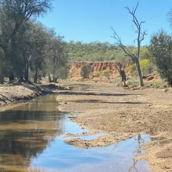 Miners at Coalseam
