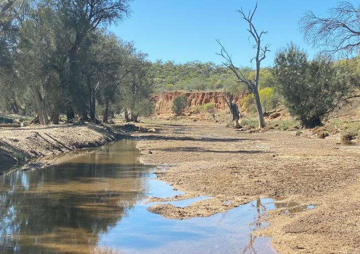 Miners at Coalseam