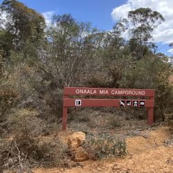 Gnaala Mia, Dryandra Woodland