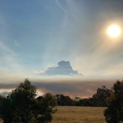 Karda Campground, Hill River WA