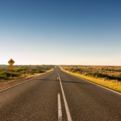 Hitch Up and Join Some…