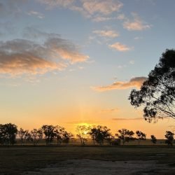 Wind, Stumpies and a Very…