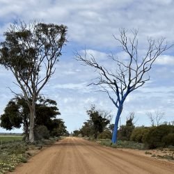 Muka: Small Town, Big Welcome